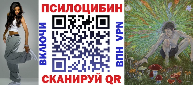 как найти закладки  Туапсе  Галлюциногенные грибы Psilocybine cubensis 